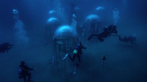 The Nemo’s Garden, Giacomo d’Orlando, 2021