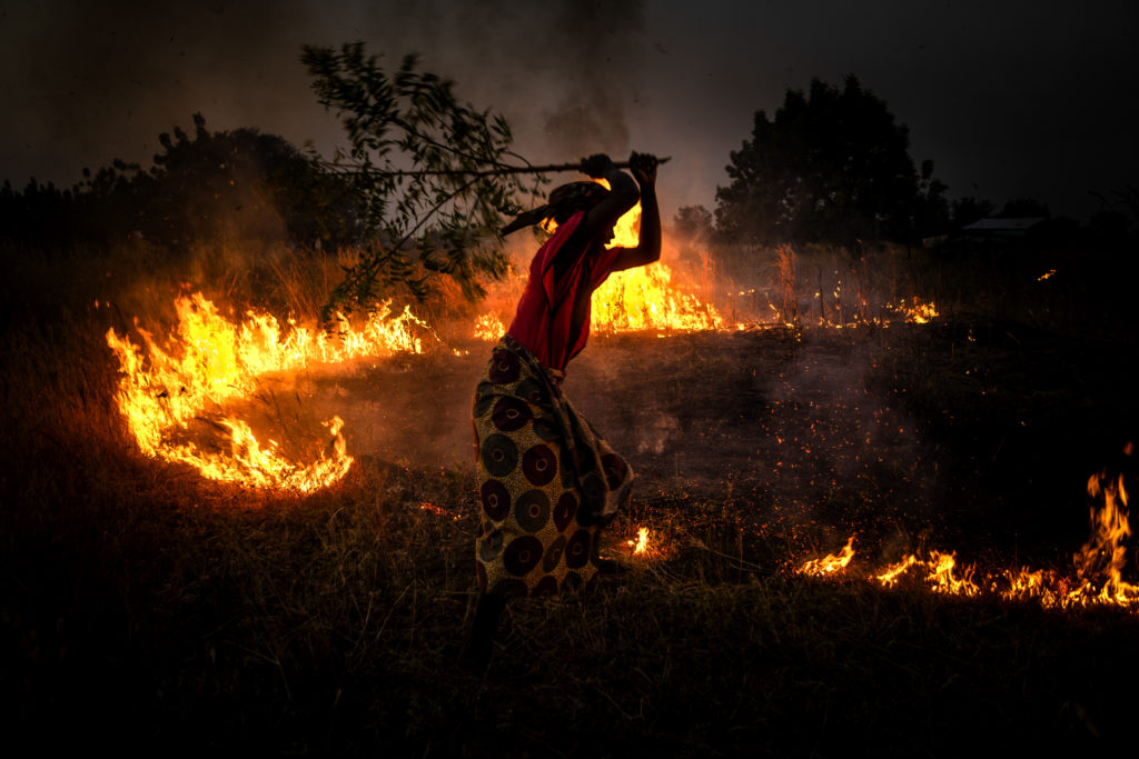 Feux de Brousse (Traditional African Bushfires), Antonio Aragon Renuncio, 2019