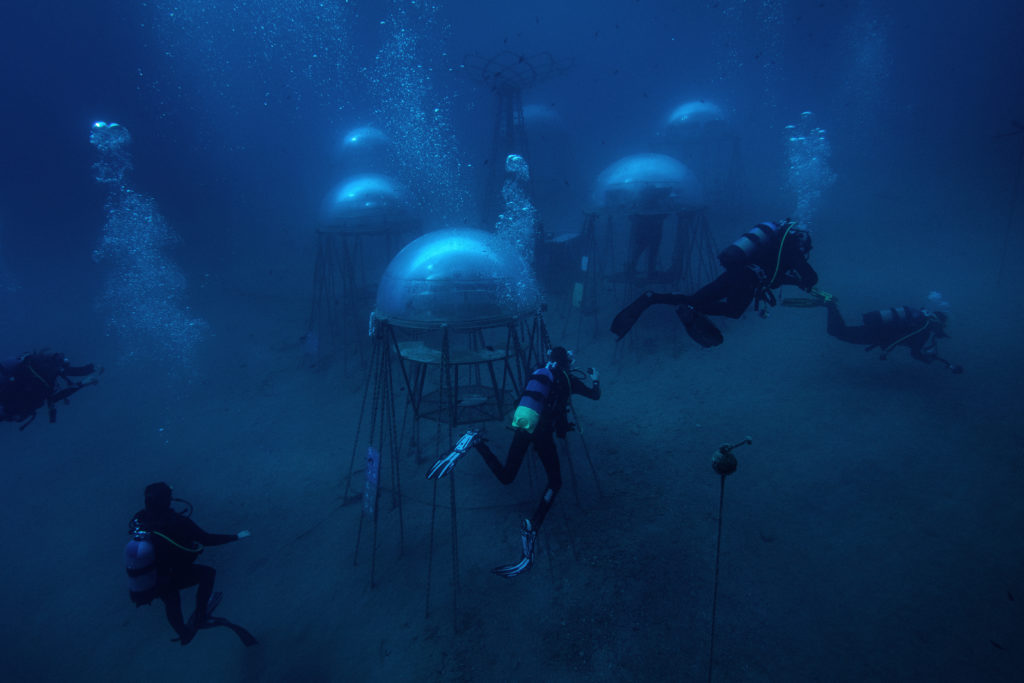 The Nemo's Garden, Giacomo d'Orlando, 2021