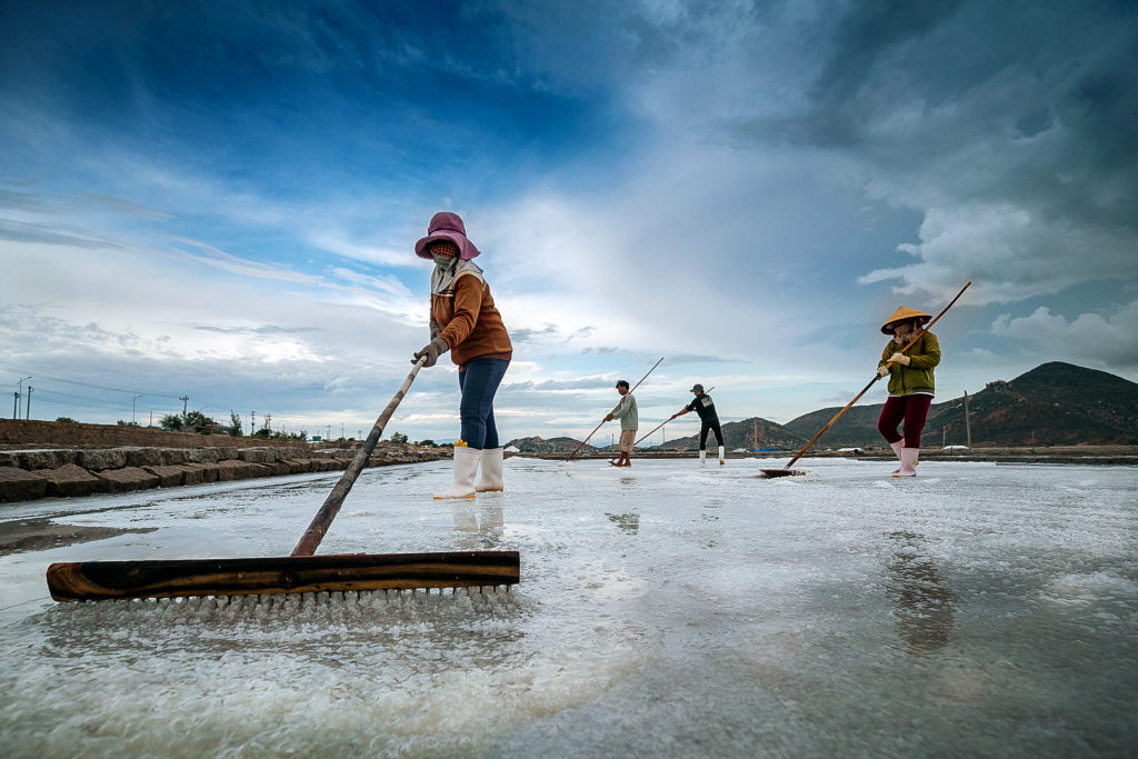 Raw Salt Production, Nguyen Linh Vinh Quoc, 2020