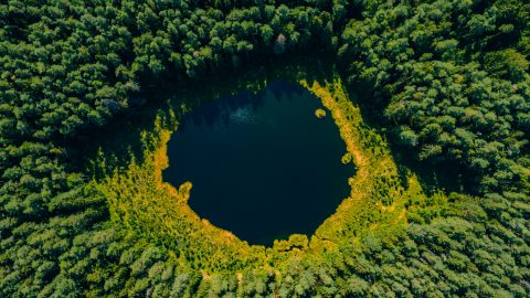 I'm Watching You Everywhere, Maciej Krzanowski | Suwałki, Poland (01/01/2021) – Photo shows a small lake hidden within the woods. The lake and its surroundings forms a shape of an eye symbolizing that the nature is looking into us constantly.